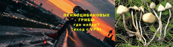 ешки Абаза