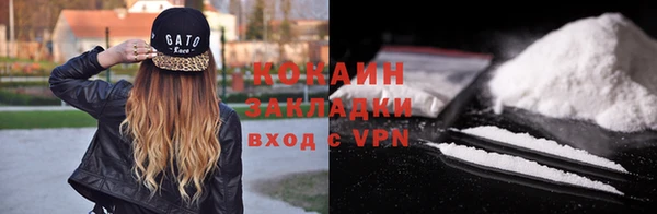 дмт Краснослободск